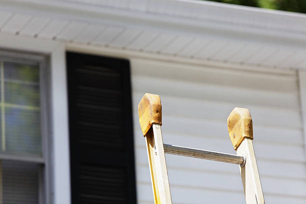 Best Carpet Removal and Disposal  in Barron, WI